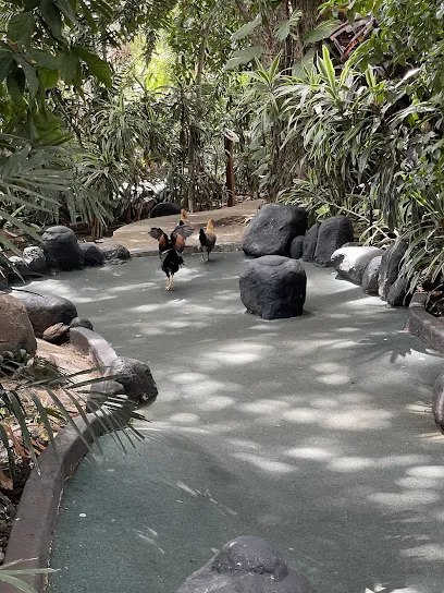 Tropics Mini Golf mini golf course in Aiea, Hawaii