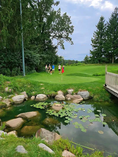 Little Hawk Putting Course mini golf course in Bath Township, Michigan