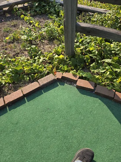 Trappers Creek mini golf course in Mackinaw City, Michigan
