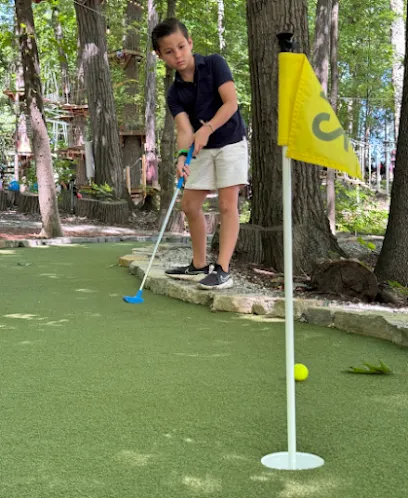 Putt Forest mini golf course in Rochester, Michigan