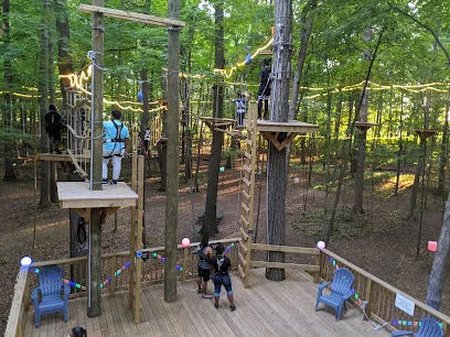 TreeRunner Rochester Adventure Park, Putt Forest & Bounce Forest mini golf course in Rochester, Michigan