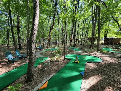 TreeRunner West Bloomfield Adventure Park, Putt Forest & Bounce Forest mini golf course in West Bloomfield Township, Michigan