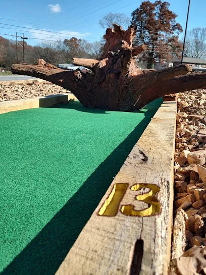 Zone 4 Mini Golf and More mini golf course in Cassville, Missouri