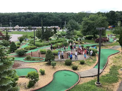 The Golf Zone Club Fitting mini golf course in Flanders, New Jersey