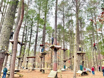 TreeRunner Raleigh Adventure Park & Putt Forest mini golf course in Raleigh, North Carolina