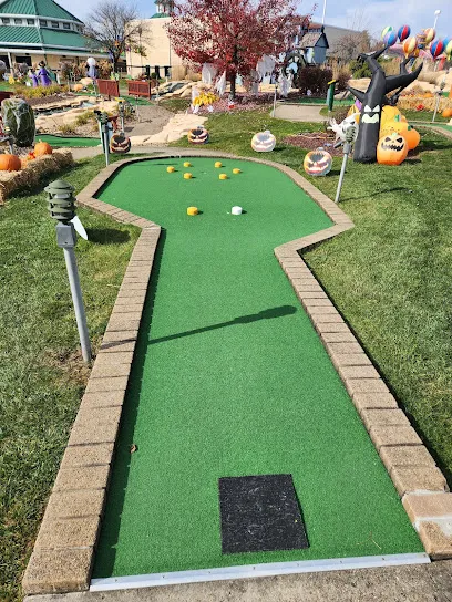 Fun Fore All Family Fun Park mini golf course in Cranberry Twp, Pennsylvania