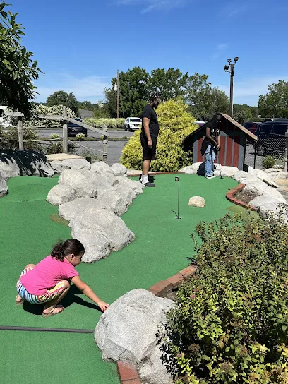Two T's Mini Golf & Birdie's Ice Creamery mini golf course in Easton, Pennsylvania