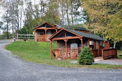Twin Grove RV Resort & Cottages mini golf course in Pine Grove, Pennsylvania