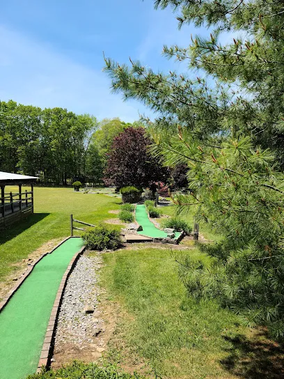 Farmers Inn PA 18 Hole Mini Golf mini golf course in Sigel, Pennsylvania