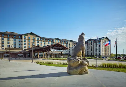 Great Wolf Lodge | Webster mini golf course in Webster, Texas